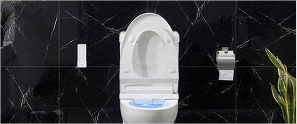 Connected toilet with customizable settings